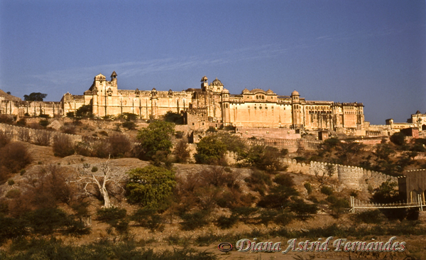 India-Amber-Fort-Jaipur-Rajasthan